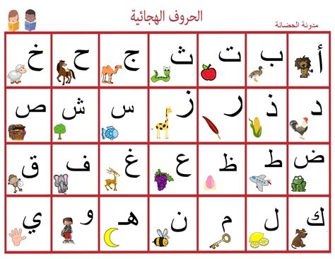 حروف العربية عدد اللغة عدد الحروف